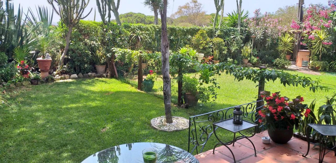 Garden Cottage At Casa Madden Marbella Ngoại thất bức ảnh
